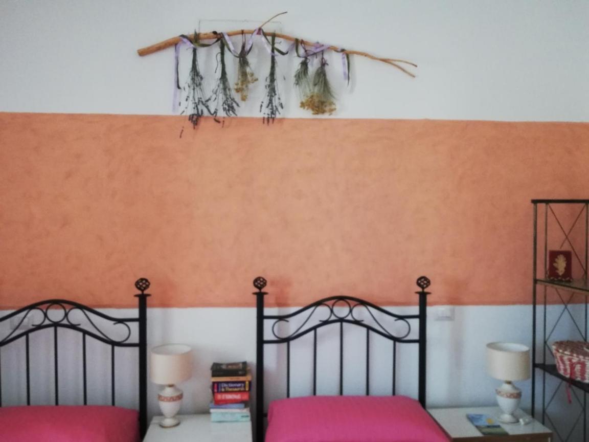 Insula -- Telti Hotel Kültér fotó